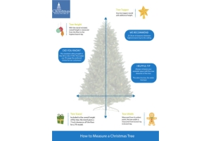 How to Choose a Christmas Tree Height