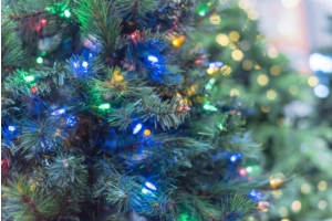 Fibre Optic vs Pre Lit Christmas Trees: What’s the Difference?