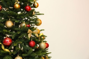 Christmas Tree Care 101: How to Look After Your Christmas Tree