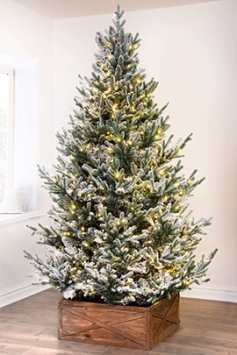 The 4ft Pre-lit Frosted Ultra Mountain Pine