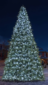 4m/13.1ft Commercial Giant Woodland Frame Tree - Choose LED Colour