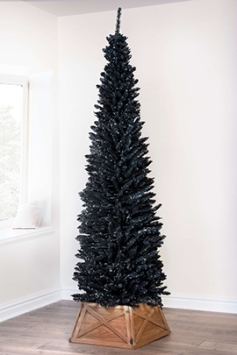 The Black Italian Pencilimo Tree