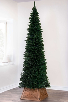 The 6ft Green Italian Pencilimo Tree