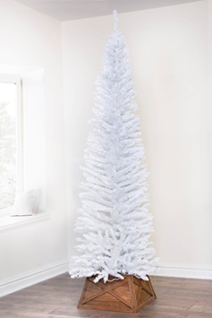 The White Italian Pencilimo Tree