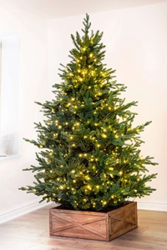 The 10ft Pre-lit Ultra Mountain Pine