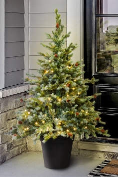 The 5ft Pre-lit Cairngorm Pine Potted Tree (Indoor/Outdoor)