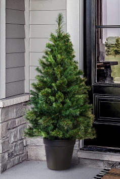 The 5ft Majestic Dew Pine Potted Tree (Indoor/Outdoor)