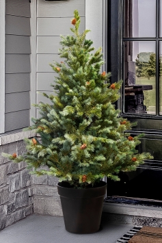 The 5ft Cairngorm Pine Potted Tree (Indoor/Outdoor)