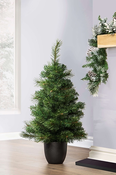 The 3ft Majestic Dew Pine Potted Tree (Indoor/Outdoor)