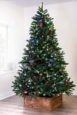 The Pre-lit 10ft Ultra Devonshire Fir - 5.56ft Wide - Warm White/Multicoloured Colour change LEDs