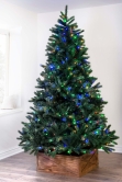 The 7ft Ultra Devonshire Fir Pre-lit with Warm White/Multicoloured Colour change LEDs