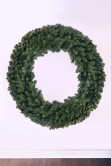 150cm Extra Wide Arbor Vitae Wreath