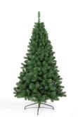 The Arbor Vitae Fir Half Tree (4ft to 6ft)