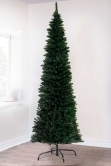 The 8ft Green Italian Pencilimo Tree