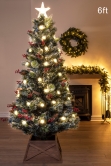 The Frosted LED Pine (3ft to 7ft)