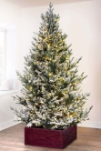 The 4ft Pre-lit Frosted Ultra Mountain Pine