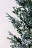 The Frosted Ultra Mountain Pine (6ft to 7ft)