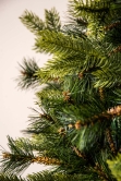 The Foresta Pine Tree (6ft-7ft)