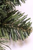 60cm Extra Wide Arbor Vitae Wreath