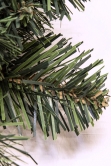 Extra Wide Arbor Vitae Wreath (60cm - 150cm)