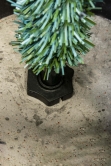 The 4ft Cairngorm Pine Potted Tree (Indoor/Outdoor)