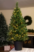 The 4ft Pre-lit Majestic Dew Pine Potted Tree (Indoor/Outdoor)