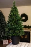 The 4ft Majestic Dew Pine Potted Tree (Indoor/Outdoor)