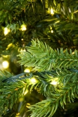 The Ultra-Lit Montagna Fir Tree (6ft to 8ft)