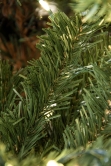 The Ultra-Lit Montagna Fir Tree (6ft to 8ft)