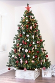 The 6ft Arbor Vitae Fir Tree And Storage Bag Bundle