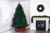 The 7ft Arbor Vitae Fir Tree