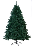 The 7ft Arbor Vitae Fir Tree