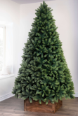 The 12ft Arbor Ultima Tree - NI/IE