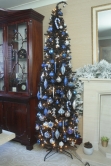 The 4ft Black Italian Pencilimo Tree