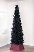 The 7ft Black Italian Pencilimo Tree