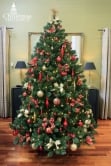 The 14ft Arbor Vitae Fir Tree