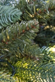 The 6ft Pre-lit Ultra Mixed Pine Garland