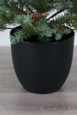 The 3ft Cairngorm Pine Potted Tree (Indoor/Outdoor)