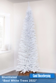 The White Italian Pencilimo Tree