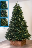 The Ultra Devonshire Fir Pre-lit with Warm White/Multicoloured Colour change LEDs (4ft to 14ft)