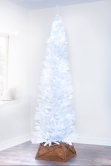 The Pre-lit 5ft White Italian Pencilimo Tree