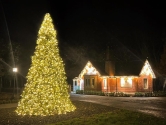 4m/13.1ft Commercial Giant Woodland Frame Tree - Choose LED Colour