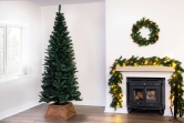 The Slim Mixed Pine Tree (5ft to 8ft)