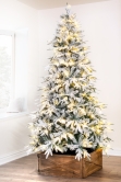 The 8ft Pre-Lit Snowy Alpine Tree Warm White