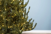 The 6ft Pre-lit Matterhorn Pine - Warm White LED lights