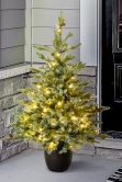 The 3ft Pre-lit Cairngorm Pine potted tree (Outdoor) - Warm White/Multicolour colour change lights