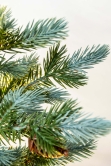 The 3ft Pre-lit Cairngorm Pine potted tree (Outdoor) - Warm White/Multicolour colour change lights