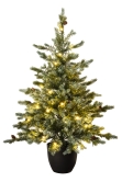 The 3ft Pre-lit Cairngorm Pine potted tree (Outdoor) - Warm White/Multicolour colour change lights