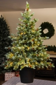 The 5ft Pre-lit Cairngorm Pine Potted Tree (Indoor/Outdoor)