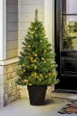 The Pre-lit Majestic Dew Pine Potted Tree (3ft to 5ft)